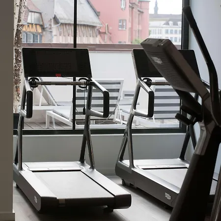 Hotel & Regent Petite France By Collection 5*