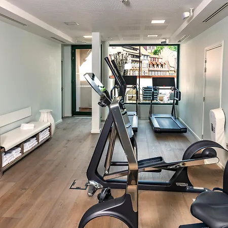 Hotel & Regent Petite France By Collection