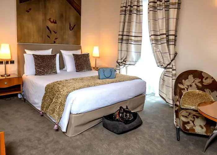 Hotel & Regent Petite France By Collection Strasburg