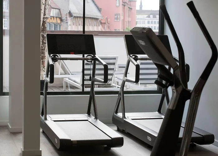 Hotel & Regent Petite France By Collection 5*