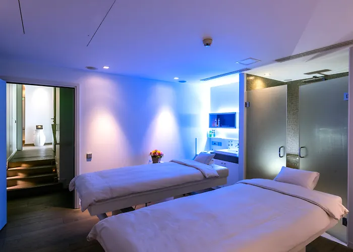 Hotel & Regent Petite France By Collection Strasbourg