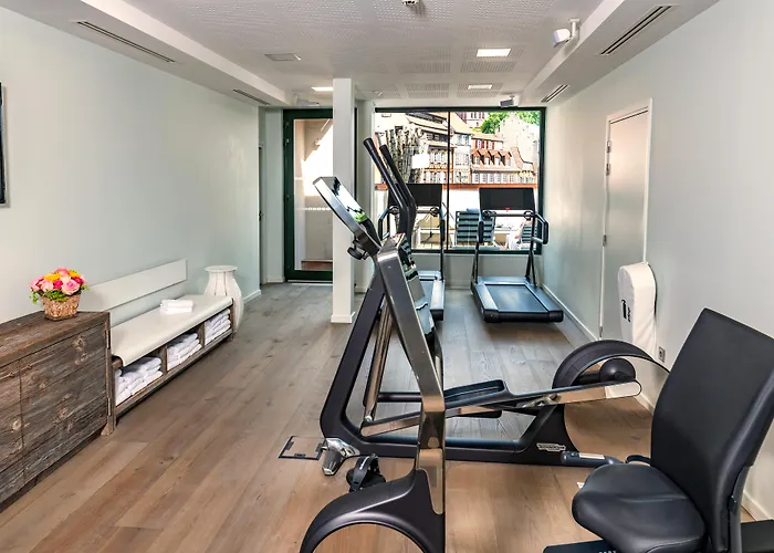 Hotel & Regent Petite France By Collection