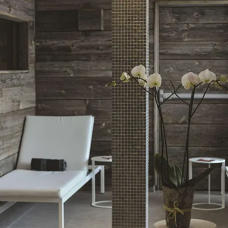 & Regent Petite France Hotel Strasburgo